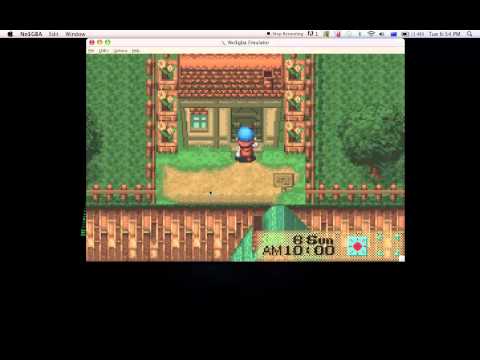 Harvest moon friend of mineral town - Mountain Cottage,City Cottage & Beach House