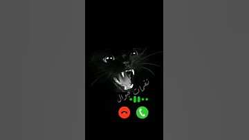 اجمل نغمه رسائل وسائط اشعارات 