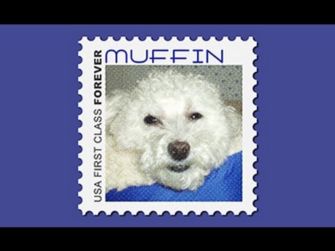 Photoshop Tutorial: How to Make Your Own POSTAGE STAMP.