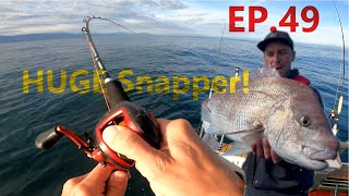 Do we have the BEST SNAPPER fishing!? | Tasman Bay | Skull Mount | Steadliest Catch ep.49