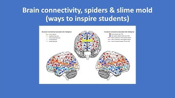 Richard Haier: ISIR in Zürich, 2024