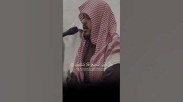 القارئ ماجد الحازمي حفظه الله