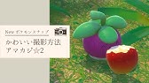 アマカジ珍道中 Newポケモンスナップ リクエスト攻略 Youtube