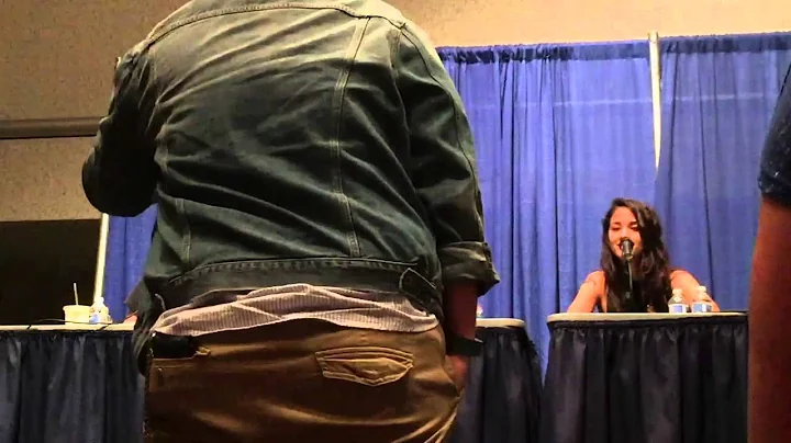 SacAnime Summer 2015 - Legend of Korra Panel, Sat ...