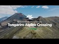 Tongariro alpine crossing  tramping hiking series  new zealand