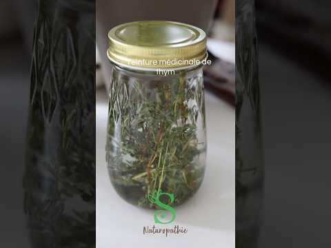 Teinture médicinale de thym 🌿