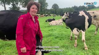 Croire Dans Le Lait Pour Produire 1,250 Ml Demain