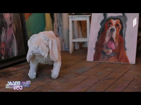 #ახალიდღე თბილისში მიუსაფარი ძაღლების ძეგლი დაიდგმება