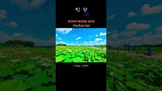 빈잔  남진 Panflute Ver 전자악기 에어로폰 연주곡 Roland Aerophone AE-20 #일상탈출 #취미활동 #추억여행 #홀로서기 #감성여행 #중년음악 #감성물씬
