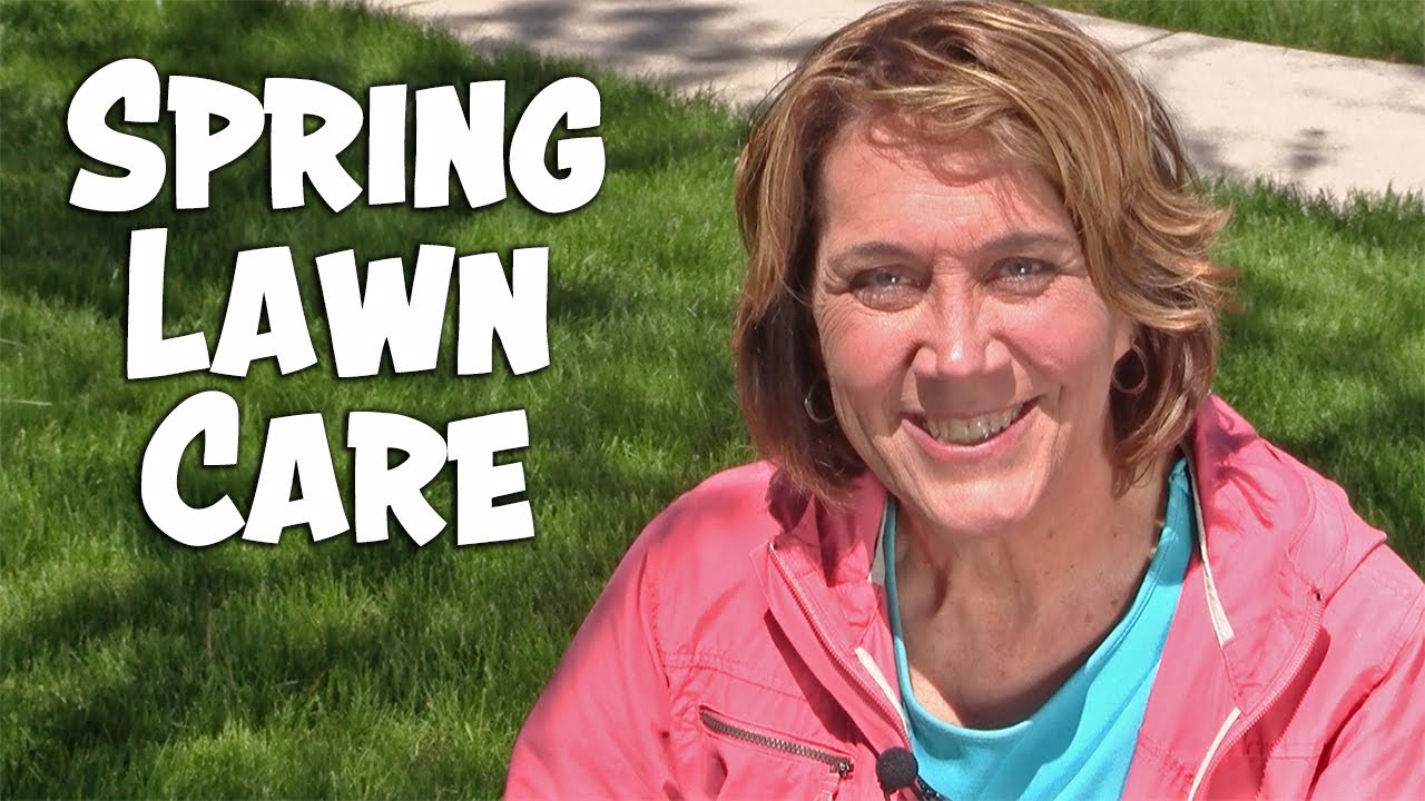 Spring Lawn Care YouTube
