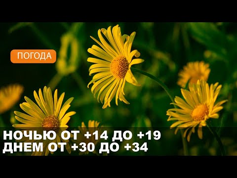 Погода на Могилевщине