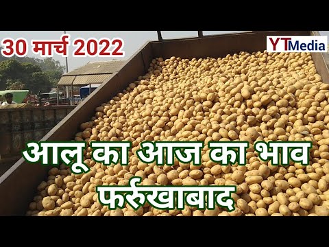 वीडियो: चंद्र कैलेंडर के अनुसार 2022 में आलू कब लगाएं