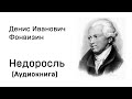 Денис Иванович Фонвизин Недоросль Аудиокнига Слушать Онлайн