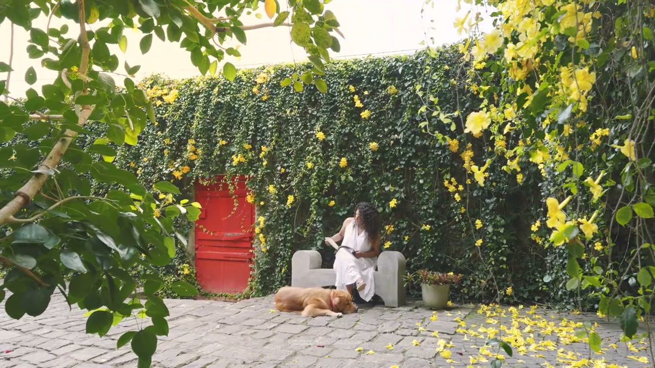 The Goddess, Kandy, Sri Lanka - Luxury Hotel, Resort & Villa Cinematography