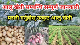 आलु खेती गर्ने तरीका || Aalu kheti garne tarika || Potato farming in Nepal