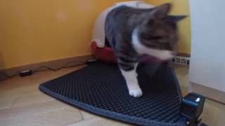 Blackhole Litter Mat - Soft, Durable and Easy to Clean screenshot 4