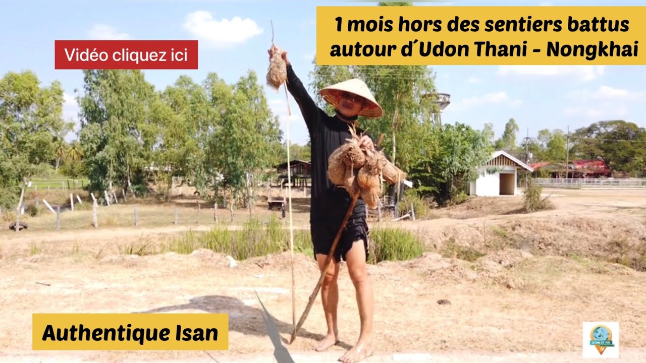  34 Authentique Issan entre Nongkhai et Udon Thani en Thalande soffrirlemonde220