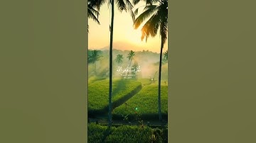 ومن يعمل سوءًا أو يظلم نفسه #سورة_النساء #فارس_عباد