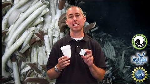 15 Second Science - Pressure in the deep sea