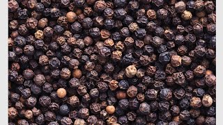 Reset pou siw gen yon moun ki dwew,Lap vin peyew byen rapid