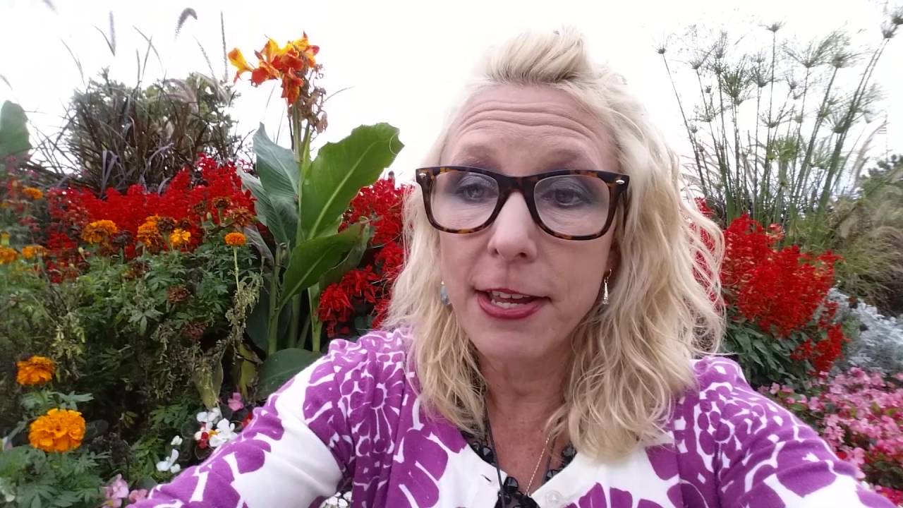 Red Flags of The Covert Narcissist..Oh Dear.. - YouTube