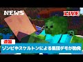 【マイクラニュース】敵モブたちがデモを起こしました。