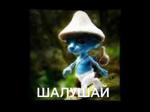 ШАЛУШАЙ - YouTube