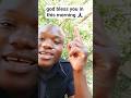 god bless you in this morning#Jesus#Truth #God #Bible #Youtube #faith #shorts