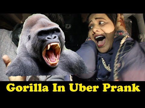 gorilla-in-uber-car-prank-|-pranks-in-pakistan-|-humanitarians