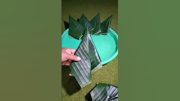 Thumbnail of Cara melipat daun pisang!!Untuk tumpeng#shorts