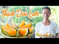 Ông Thọ Làm Món Thạch Dưa Lưới Thơm Ngon Mát Lạnh | Melon Jelly