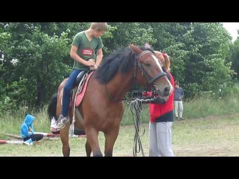 конный лагерь ветер перемен, обучение джигитовке 2