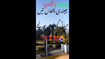 یار یاریں تے غربت وی آویندی اے یار یاریں کنوں منہ لوکیندا تاں 