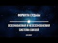 Формула Судьбы. А+Ы. Осознаваемая и неосознаваемая системы связей. Фрагмент.