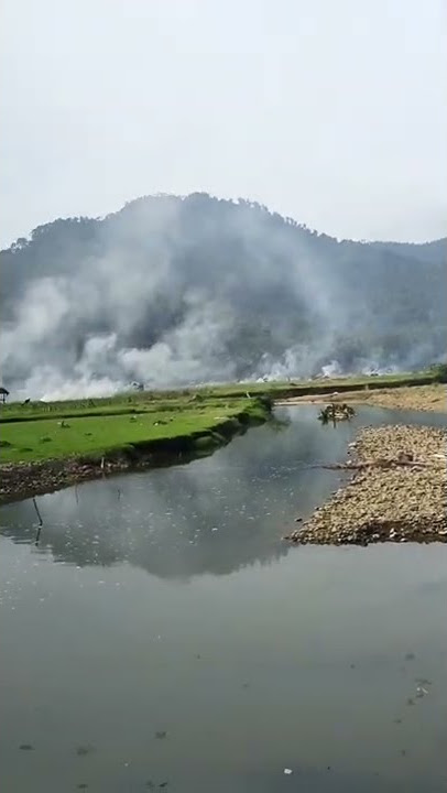 lihat bapaknya lagi angon kebo di sawah, bikin kangen sama kampung halaman @shorts