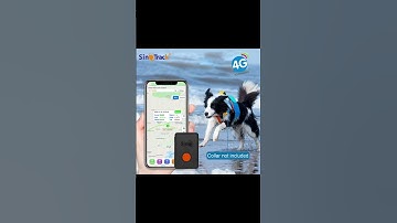 🎥 SinoTrack ST-904L One Tracker, Multiple Uses!? #sinotrack #cartracking #smartphone