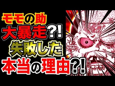 ワンピース ミイとのぞみの大図鑑 ワンピース ミイとのぞみの大図鑑