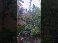 Bầu trời chiều 2#shortvideo