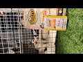 #002 皆のオススメフード『ニュートロ』を買ってみたよ。※この動画は縦画面専用となってます。