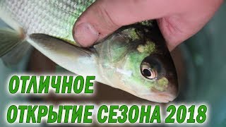 Зимняя рыбалка 2018. Попали на жор подлещика, наловились от души!