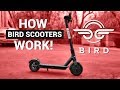 BIRD Electric SCOOTERS! / How They Work!