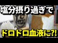 塩分の摂り過ぎで起こる体の異変とは?血液ドロドロになりダイエットに悪い?ヤバい食習慣とは?知ってよかった健康雑学