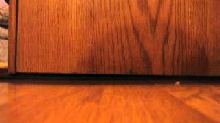 Wierd Stuff Stop Motion