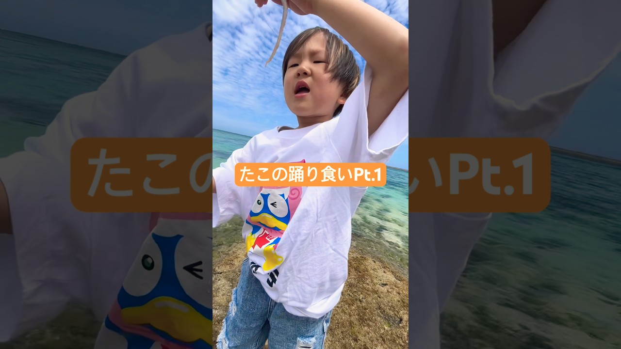 タコがいたので踊り食いしてみたら…Pt.1 #タコ #踊り食い #shorts