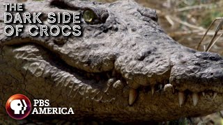 The Dark Side of Crocs FULL SPECIAL | PBS America screenshot 3