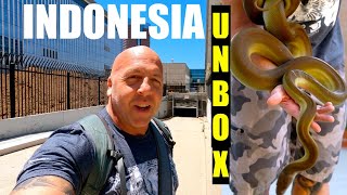 INDONESIA UNBOXING | OUR LAST?