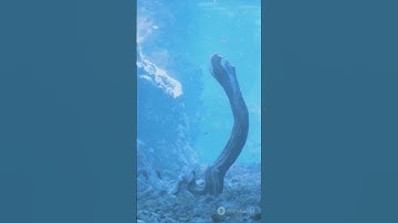 Evolution From Primordial Soup to Seas: The Origin of Life #OriginOfLife #Evolution #ScienceReel
