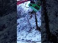 🟢 Tree shear OMEF "BIG INCH" BI200 working into the snow! #forestryequipment #woodworking #omef