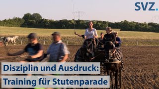 Ausdruck und Disziplin: Training für Stutenparade auf Gestüt Ganschow