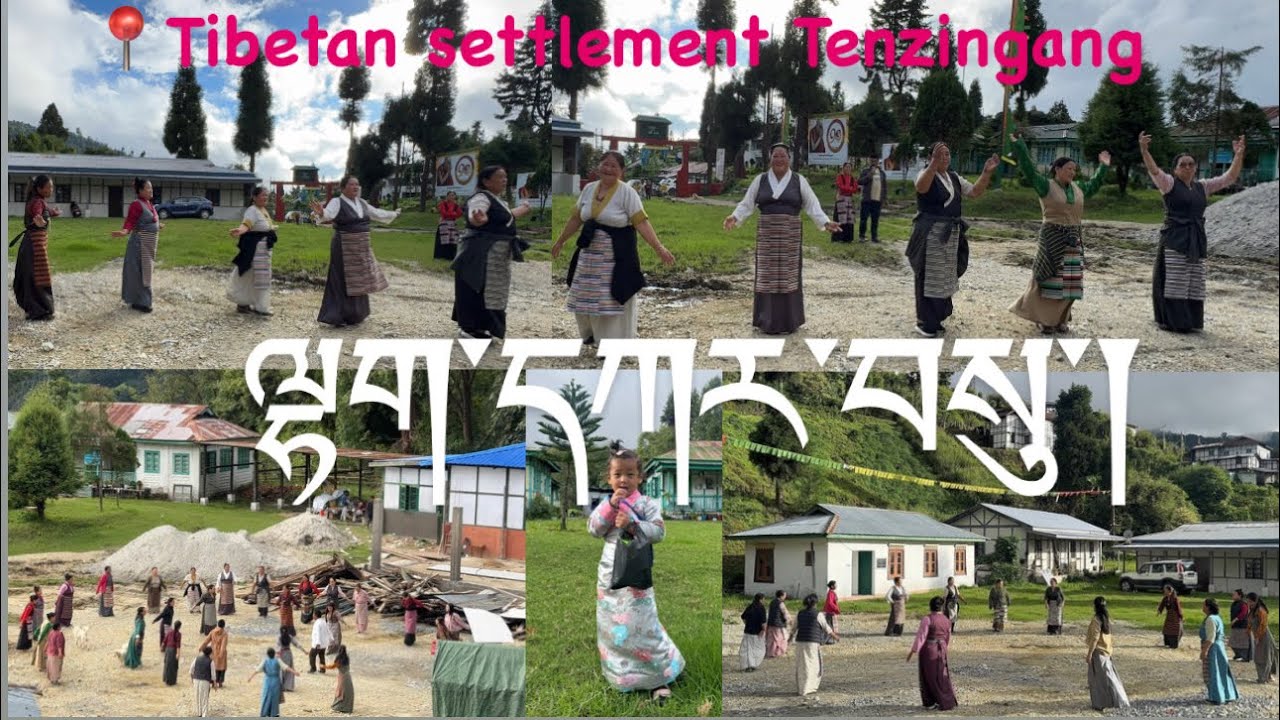 Lhakar Gorshay// ལྷ་དཀར་སྒོར་གཞས་།📍Tibetan settlement Tenzingang 